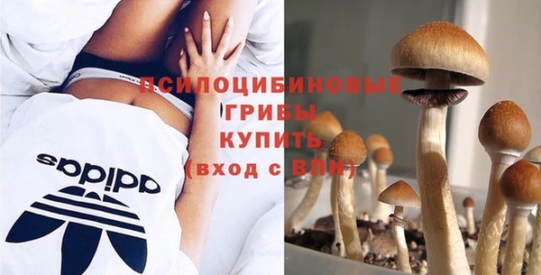 бутират Армянск