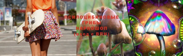 меф Арсеньев
