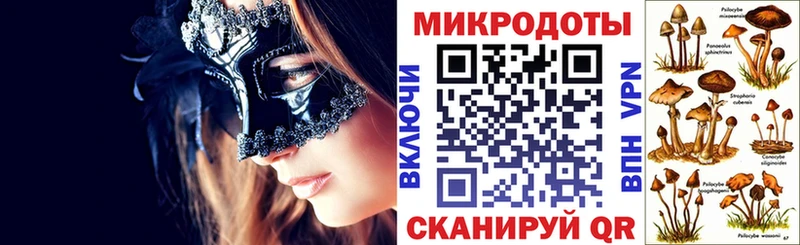 Псилоцибиновые грибы мухоморы где продают наркотики Скопин