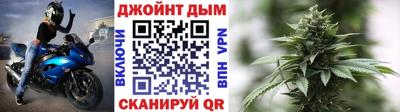 закладка  Скопин  Конопля сатива 